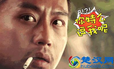 什么是感觉？什么是知觉？