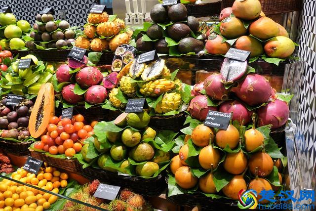 低碳饮食、高碳饮食是什么？