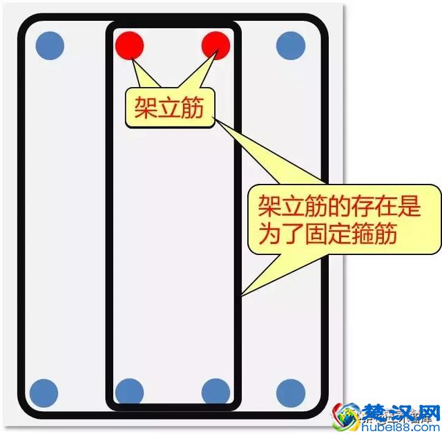 什么是梁的架立筋？