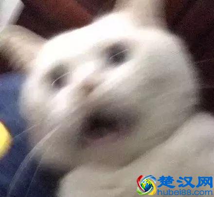 这5部世界级黑色幽默电影，看的时候笑喷，看完后沉默