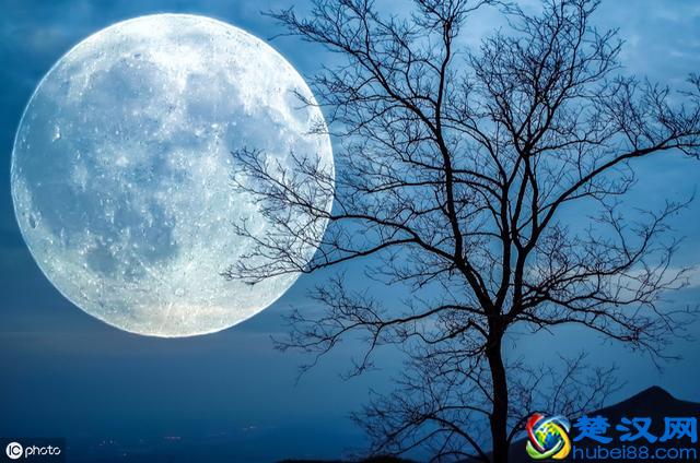 怎样写一首现代诗