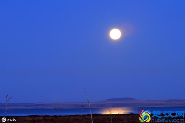 怎样写一首现代诗