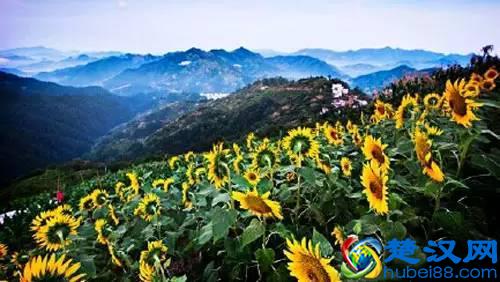 上海周边值得一去的景点及门票价格！去之前知道带多少钱