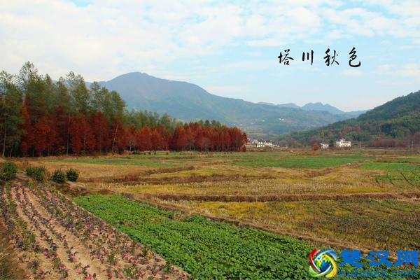 上海周边值得一去的景点及门票价格！去之前知道带多少钱