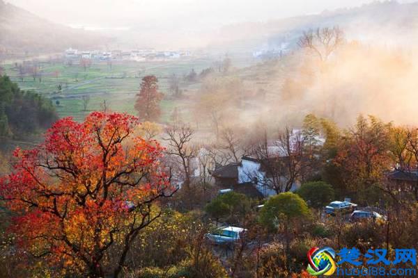 上海周边值得一去的景点及门票价格！去之前知道带多少钱