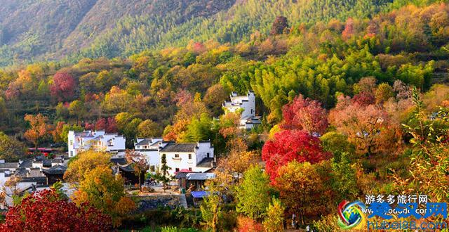 上海周边值得一去的景点及门票价格！去之前知道带多少钱