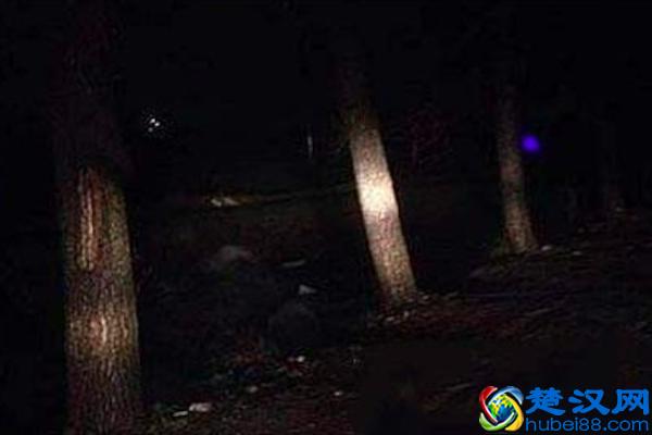 农村里恐怖的现象，坟地里“鬼火”其实是磷的燃烧
