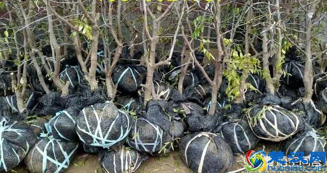 乡镇上做什么小生意最赚钱？