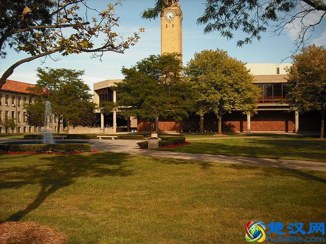 底特律大学怎么样？