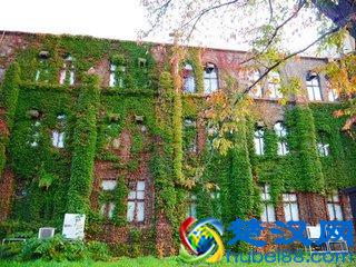 日本——北海道大学