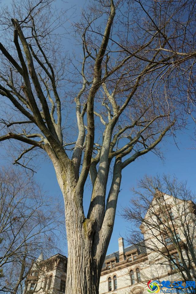 带你全方位看世界名校--美国的普林斯顿大学