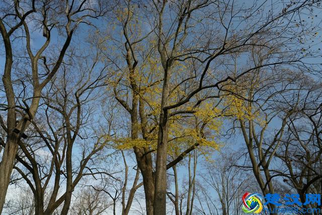 带你全方位看世界名校--美国的普林斯顿大学