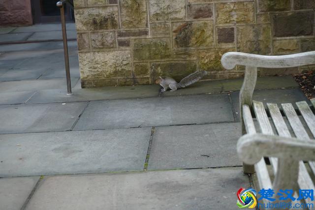 带你全方位看世界名校--美国的普林斯顿大学