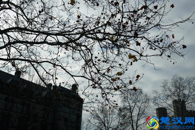 带你全方位看世界名校--美国的普林斯顿大学