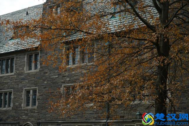 带你全方位看世界名校--美国的普林斯顿大学