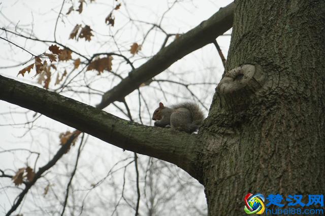 带你全方位看世界名校--美国的普林斯顿大学