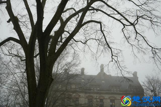 带你全方位看世界名校--美国的普林斯顿大学