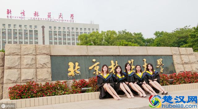 北京林业大学