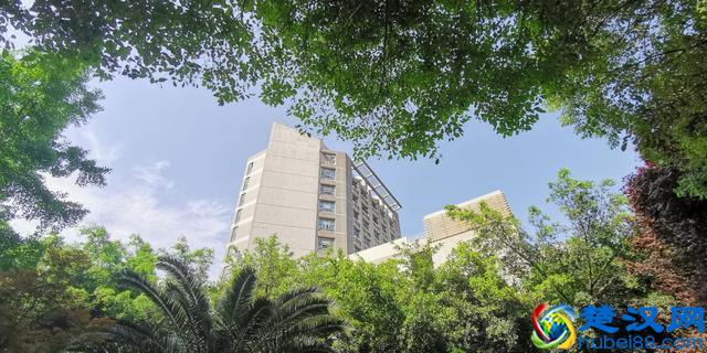 为什么选择西南石油大学？这十个理由一定吸引你