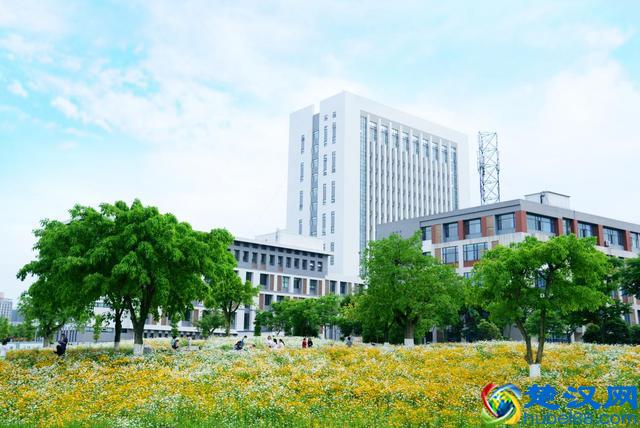 为什么选择西南石油大学？这十个理由一定吸引你