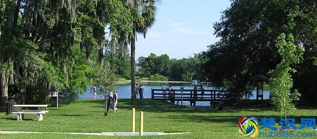 佛罗里达大学世界排名