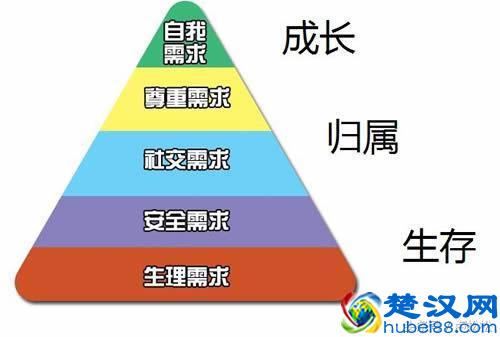 站长运营地方论坛心得史