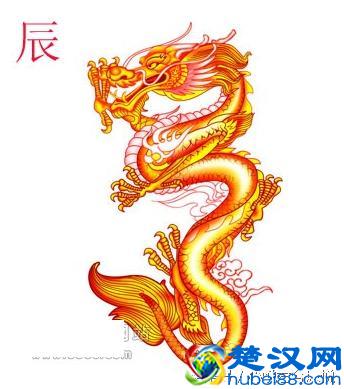 属龙的人适合的生意，职业和交际