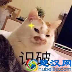 说东北话的人,都觉得自己说的是普通话