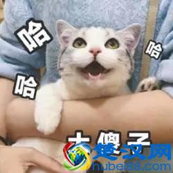 说东北话的人,都觉得自己说的是普通话