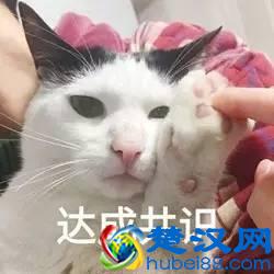 说东北话的人,都觉得自己说的是普通话