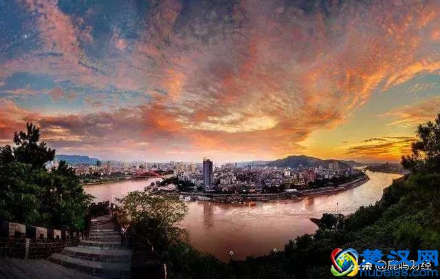 朵唯，一个国产手机品牌的非典型没落