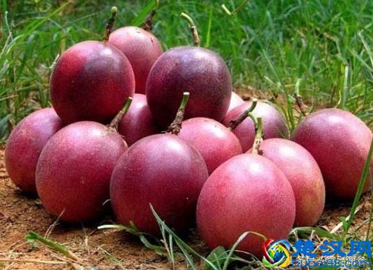 教你做百香果蜂蜜柠檬茶，让这个夏天过足酸酸甜甜的瘾！