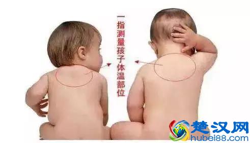 宝宝秋季穿衣实用指南，不仅科学还能省下不少钱