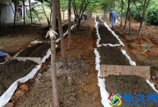 在农村“养殖什么成本最低”？养殖户：可以考虑这些项目