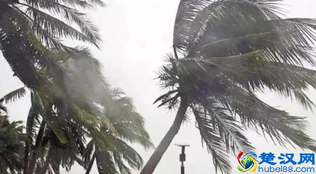 台风竟然是这样命名的，你知道下个台风叫什么吗？