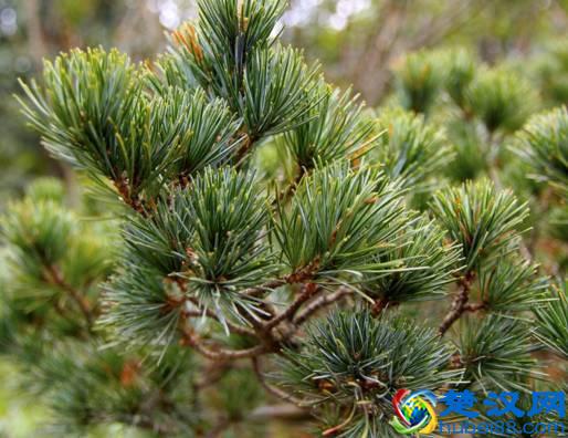 商机来了，42个农村致富项目都给你！