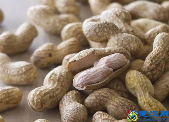 商机来了，42个农村致富项目都给你！