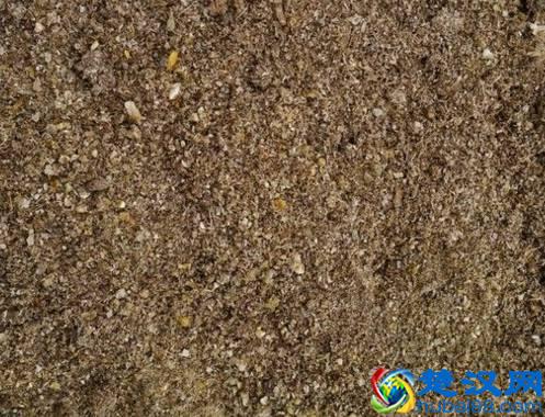 商机来了，42个农村致富项目都给你！