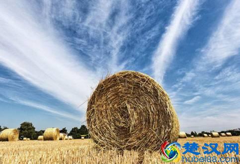 商机来了，42个农村致富项目都给你！