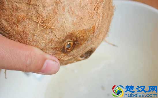 椰子怎么打开?教你几个小诀窍,不用打开椰子就可以喝到果汁