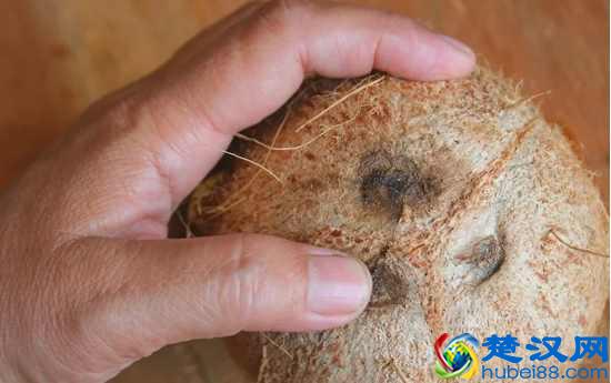 椰子怎么打开?教你几个小诀窍,不用打开椰子就可以喝到果汁