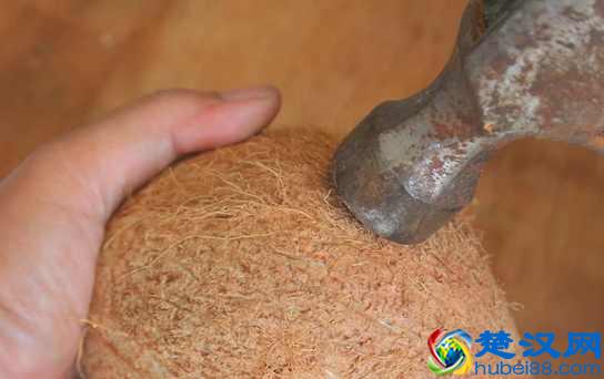 椰子怎么打开?教你几个小诀窍,不用打开椰子就可以喝到果汁