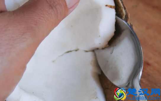 椰子怎么打开?教你几个小诀窍,不用打开椰子就可以喝到果汁