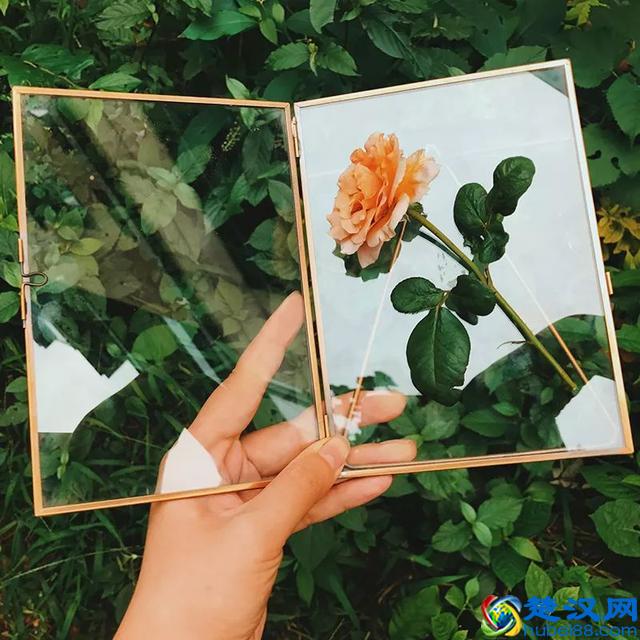 看完1000家淘宝家居店，推荐这9家给你，提升家中B格！