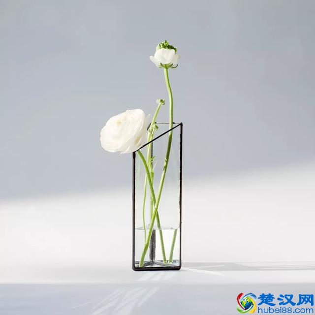 看完1000家淘宝家居店，推荐这9家给你，提升家中B格！