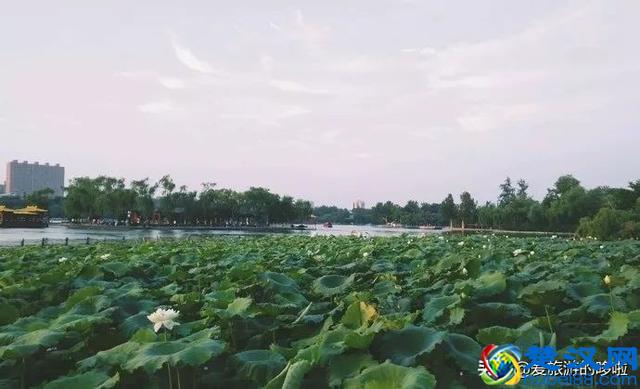 遇一人白首，择一城终老，最适合养老的7座城市