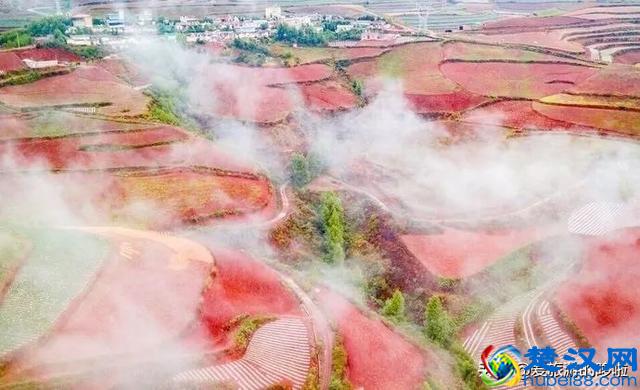 遇一人白首，择一城终老，最适合养老的7座城市