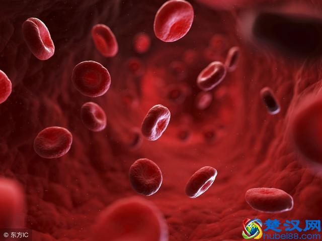 大三阳会传染，但不必远离大三阳患者，避开5个传播途径即可