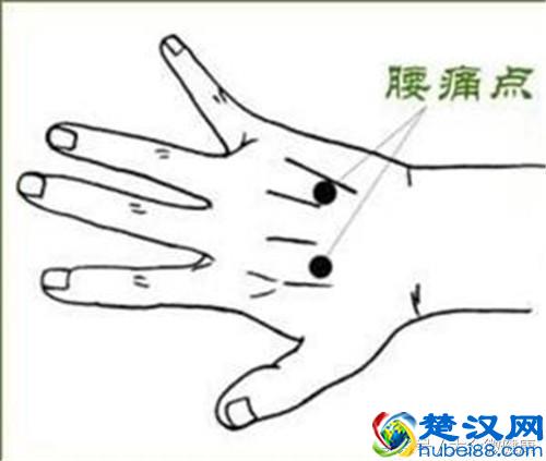 治腰痛不求人，4大调理方法比吃什么药都强！