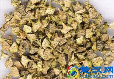 身上皮肤瘙痒怎么回事，别不当回事，那会要了你的命